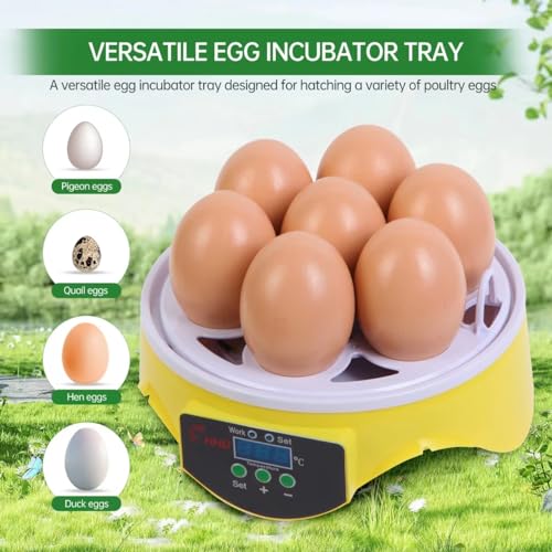 360° View 7-Egg Poultry Incubator for Hatching Chicken, Duck, Goose, Parrot, and Quail Eggs, with Temperature Control