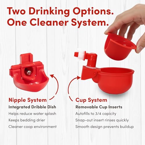 RentACoop High Rise 2 Gallon Chicken Waterer and 10lb Feeder Set