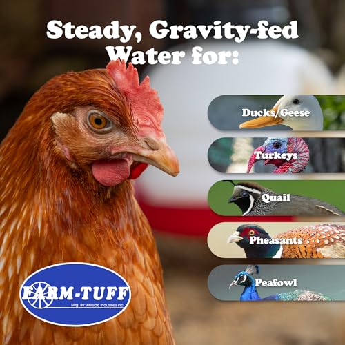 FARM-TUFF Hanging Chicken Waterer, 3 Gallon Capacity - Durable BPA-Free Plastic Poultry Fountain with Top Fill Design - Automatic Water Dispenser for Chickens, Ducks, Turkeys & Game Birds