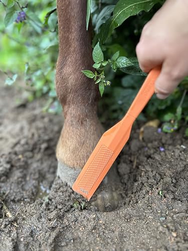 HoofWand • Horse Grooming Supplies for Daily Cleaning & Maintenance - HoofCare - Hoof Cleaner - Hoof Snow & Ice Removal - Pastern Cleaning - Coronary Band