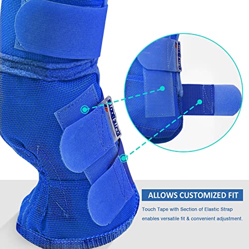 Harrison Howard Horse Leg Guard Stomp Reduction Hook and Loop Closures Rubbing Prevention - color: Deep Blue, size: Arab Medium (Pack of 4)