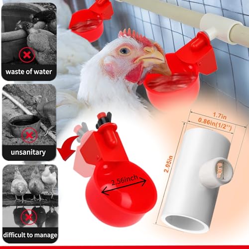 24 Pack Automatic Chicken Waterer Cups Kit, PVC Tee Fittings | Gravity-Fed Poultry Drinker, DIY 1/2" PVC Pipe System for Chickens, Ducks & Turkeys (12 Cups + 12 PVC Tees, 24-Piece Kit)