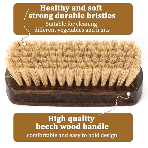 Vegetable Scrubber, Veggie Fruit Potato Brush for Food | Firm Bristles, Wood Veggie Wash Scrubber, Carrot Cucumber Corn Tableware Cleaning, Kitchens Camping Brush Tool - color: Brown