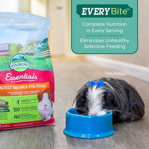 Oxbow Essentials Adult Guinea Pig Food, Timothy Hay Pellets, USA, 5 lb | Guinea Pig Pellets, Vitamin C For Guinea Pigs, Stabilized, High Fiber, Made in USA, Uniform Food, Prevents Selective Feeding - size: 5 Pound (Pack of 1)