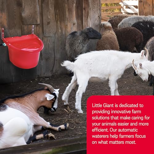Little Giant FW16RED 4 Gallon Capacity Automatic Float Controlled Waterer Animal Horse & Cattle Livestock Water Trough, Red (4 Pack)