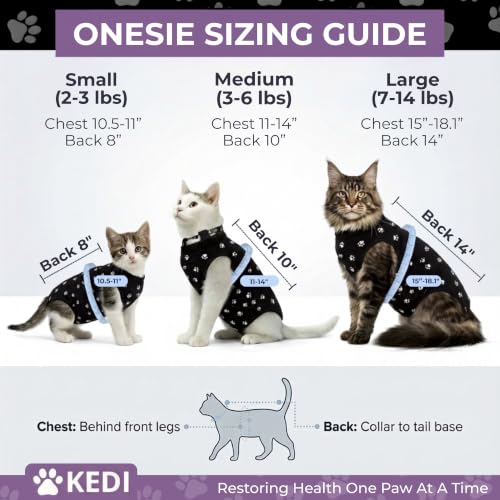 Cat Surgery Recovery Suit Female Cat Onesie for Cats After Surgery Spay Surgical Abdominal Wound Skin Diseases E-Collar Alternative Wear (Black, Medium) (Pack of 2) - color: Black, size: Medium (Pack of 2)
