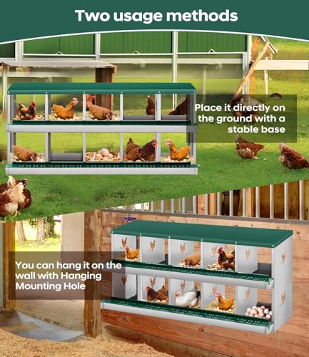 10 Compartment Chicken Nesting Box, Heavy Duty Metal Laying Box with Perch, Easy Assembly & Easy Clean for Outdoor Chicken Coop, Green - color: Green, size: 10 Compartment