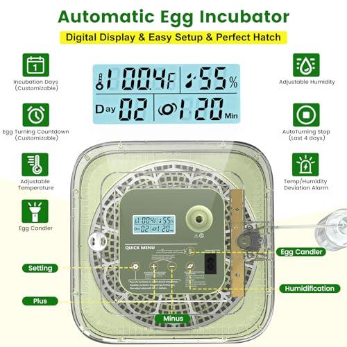 12 Egg Incubator with Automatic Turning, Auto Water Refill & Temp/Humidity Control, Plus Hatching Guide, Digital Hatcher for Chicken, Duck, Quail, Pigeon Eggs & More - color: Green, size: 12 Egg