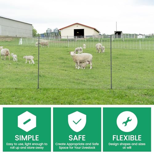 Non Electric Fence Netting 40" x100', Boundary Fence with Double Spiked Posts, Portable Poultry Fencing for Dogs, Chickens, Ducks, Turkeys Backyard Garden Farm