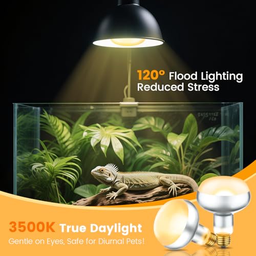 Dual Reptile Light Fixture with 100W Daytime Heat & UVB 10.0 Reptile Bulb, 2 Independent Switches, Reptile UVA UVB Heat Combo Pack - size: ST3