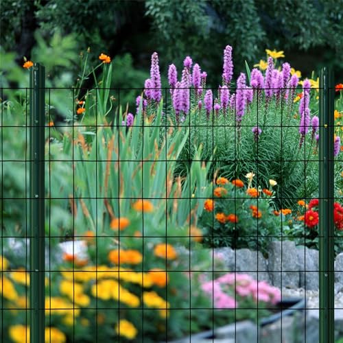 Black PVC Coated Welded Wire Mesh Garden Economy Fence 36 Inch x 25 Foot-3 Inch x 2 Inch 16GA - color: Black, size: 36"x25\'-3"x2" 16GA