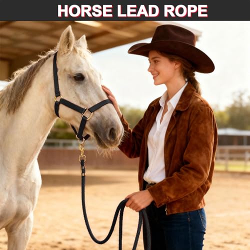 5/8" x 8' Nylon Horse Lead Rope with Cast Iron Hardware (Black) | Durable nylon material, cast iron hardware, ideal for daily use, training and showing. - color: Black