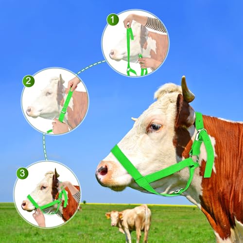 M METERXITY 2-Pack Adjustable Cattle Cow Calf Halter, 15.74"-19.68" Nylon Livestock Cow Halter for Miniature Horse/Donkey/Goat/Cattle [Green]