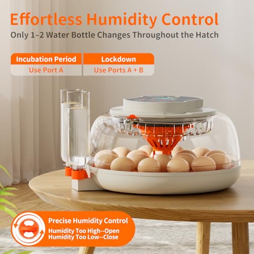 APDOE Egg Incubators for Hatching Eggs, Temperature and Humidity Control, Automatic Egg Turning, Egg Candler, External Water Bottle, Air Vent, for Chicken, Duck & Quail Eggs, 18 Eggs - color: White + Orange, size: 18 Eggs + 8 Large Eggs