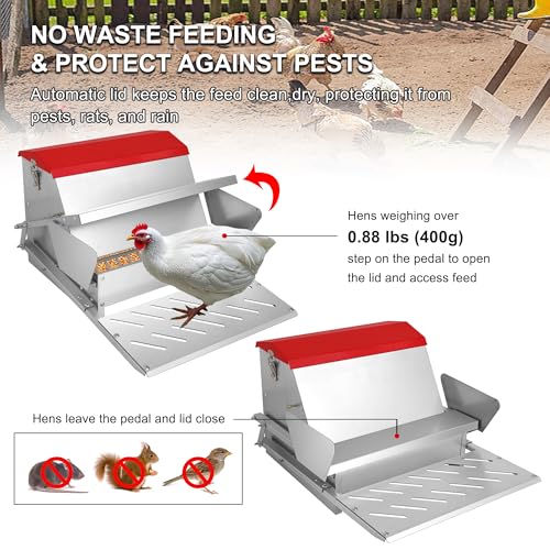 25lbs Automatic Chicken Feeder-Metal Treadle Poultry Feeder, No Waste Rat Proof Chicken Feeder with Sturdy Galvanized Steel Build and Weatherproof Locking Lid for Duck, Fowl, Pheasant Outdoor