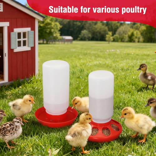 Chick Feeder and Waterer Set No Waste Automatic Chicken Feeder and 1L Waterer for Baby Chicks, Ducks, and Quail – Brooder Starter Kit - color: Red and White