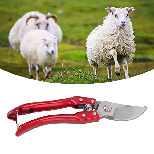 Goat Hoof Trimmers Pig Trotter Shears Animal Toe Nails Trimming Tool Stainless Steel Professional Hoof Trimmers with Anti Slip Ergonomic Handle for Sheep Cow Pig Hoof (Red) - color: Red