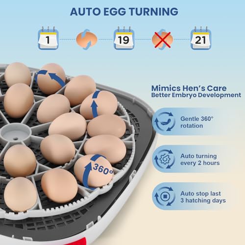 Sailnovo 24 Egg Incubators for Hatching Eggs, 360° View with 4 Modes, Blue | Automatic Temperature Control, Egg Turning, Humidity Display, Egg Candler, 360° View, 4 Smart Modes for Chicken Duck Quail