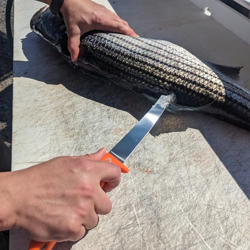 Dexter Outdoors Dextreme Single Edge 8" Max Flex Fillet Knife, Sheath | Max flex single edge stainless blade hugs the backbone for thin fillets. Protective sheath included for safe transport. - style: 8" Single Edge Max Flex