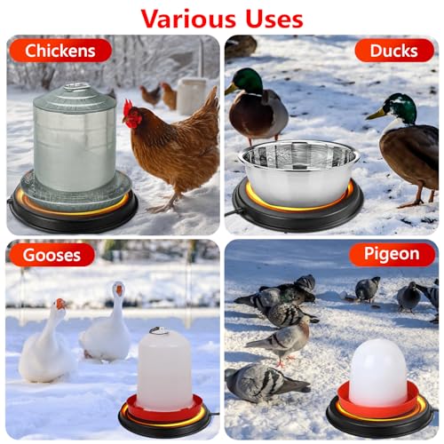 Poultry Chicken Water Heater - KOKOPRO Poultry Water Heater Base for Winter,14 Inch for Plastic/Metal Poultry Waterer,Thermostatically Controlled Heated Waterer 80W,Chicken Coop Accessories