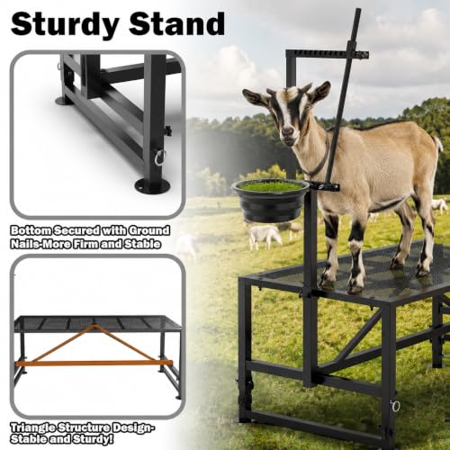 Goat Milking Stand with Feed Bin, 400LBs Goat Stand for Sheep Trimming and Milking, Hoof Trimming Stand Adjustable Size for Pygmy, Dwarf Goats, Iron Black - color: Black, size: M-35*18 Inch
