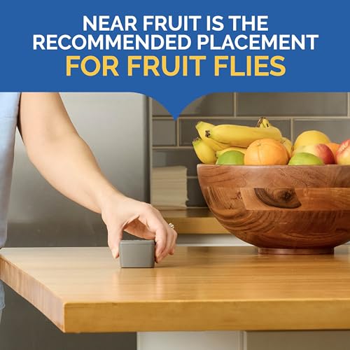 Hot Shot Flying Insect Trap, Attracts & Captures Fruit & House Flies, 6 Ct | 24/7 Continuous Attraction, Discreet & Compact Hassle-Free Trap, Starts Working Immediately, No Plug-In or Electricity Needed