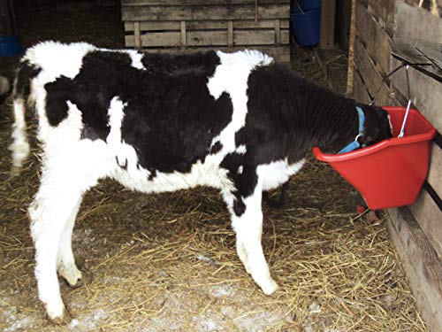 Little Giant® Plastic Better Bucket | Horse Feed Pail | Ergonomically Designed | Flat Back Bucket | Made in USA | 10 Quarts | Red - color: Red, size: 10 Quarts
