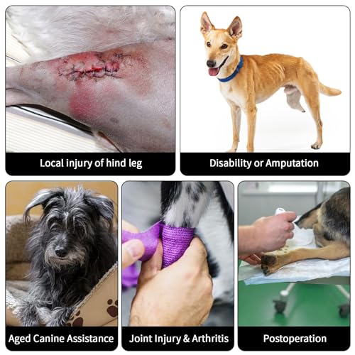 Dog Harness Rear Leg Support for Old Disabled Injured Arthritis Post-op S | Breathable mesh material with reflective strape, adjustable buckle, portable lifting handle, match most dog collars - size: S(Leg Girth: 13.3-18.1")