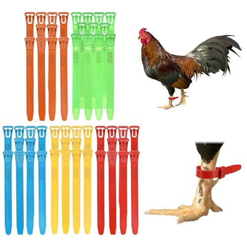 M METERXITY 100-Pack Adjustable Chicken Leg Bands, 10-28 mm Plastic Poultry Identification Chicken Leg Rings for Turkey/Duck/Goose/Chick, Colorful Numbered Foot Clip on Tags [Multicolor] - color: Multicolor