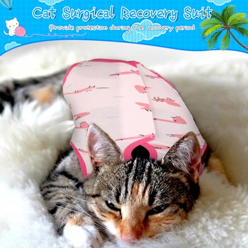 Kacctyen 6 Pack Cat Recovery Suit After Surgery Anti Licking | 6 Pack Cat Recovery Suit After Surgery Anti Licking,Animal,Small - size: Small, style: Animal