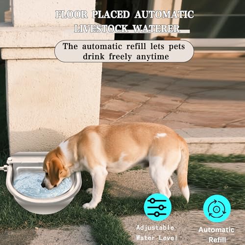 Automatic Dog Water Dispenser with Drain Hole & Drain Valve, Stainless Steel Auto Dog Water Bowl with 2 Float Valves, Hose Quick Connect Fitting, for Livestock, Chicken, Horse (1 Gallon) - size: 1 Gallons