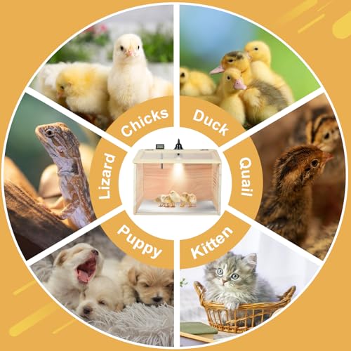 Chicken Brooder Box Chick Starter Kit Portable Chicken Coop with UVB Lamp Thermometer Brooder Box for Chicks Ducks Quails Hamsters Lizards and Small Animals
