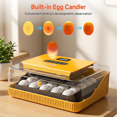 25 Eggs Incubator, Incubators for Hatching Eggs, with Temperature & Humidity Control, Automatic Egg Turning, Egg Candler, for Hatching Quail, Chicken, Duck, Goose Eggs
