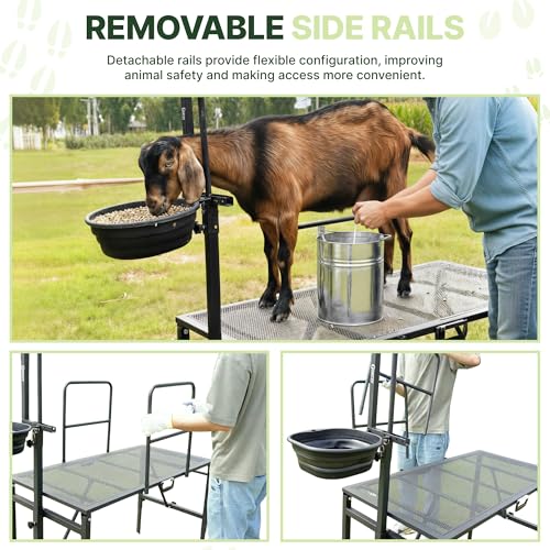 Goat Stand with Adjustable Headpiece & Legs, Goat Milking Stand with Feeder, Rails & Wheels, Stanchion for Grooming & Hoof Trimming, Sheep Stand for Shearing Heavy-Duty Steel Platform, Black - color: BLACK