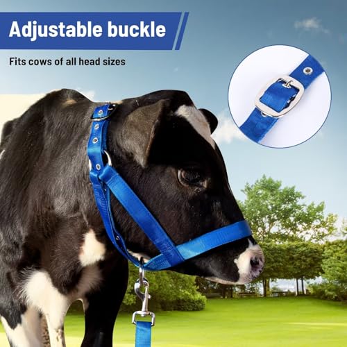 Cow Halter Cattle Halters Calf Halter with Leading Rope，Adjustable Nylon Livestock Cattle Halter，for Miniature Horse Donkey Goat Foal (Blue, Small) - color: Blue, size: Small