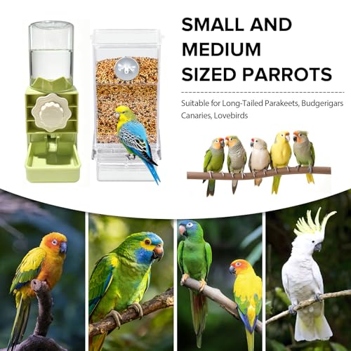 Lemtrflo No Mess Bird Cage Feeder, Automatic Bird Water Dispenser | Parakeet Cage Accessories - color: green