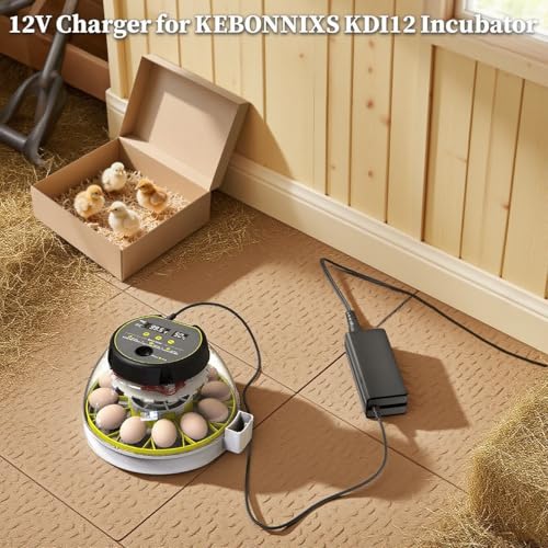 12V Power Adapter Compatible with KEBONNIXS KDI-12 KDI12 Incubator Humidity Display Egg Candler Automatic Egg Turner Power Supply for Hatching Chickens BX-1204000 BX1204000 DC12V Power Cord
