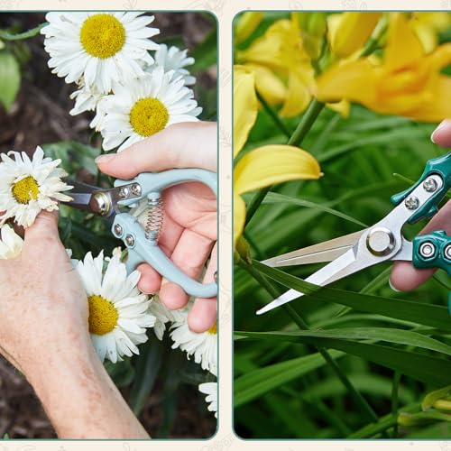 Modern Sprout Pruning Shears - Garden Snips - Herb Scissors - Ocean 1-Pack | Lightweight Gardening Tool - Durable Carbon Steel Blade W/Easy-Lock - Gardening Supplies - Flower Cutter - Reusable Holster - color: Ocean