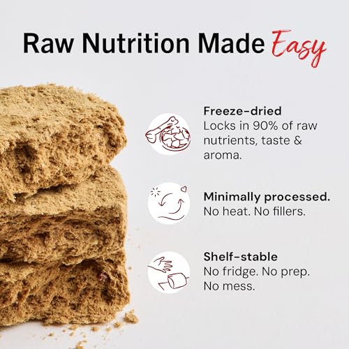 Stella & Chewy's Freeze-Dried Raw Dinner Patties - Dandy Lamb Recipe - High Protein Grain-Free Puppy & Dog Food - Perfect For Picky Eaters - 14 oz