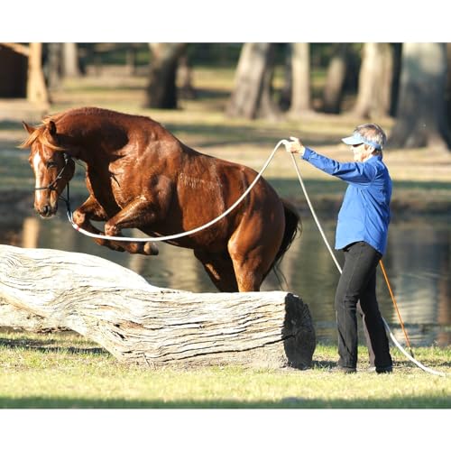 22 Foot Line Ground Training Rope - Strong Everyday Use All-Purpose Large Horse Lead Rope with Loop & Latigo Popper | 9/16" Diameter Smooth Yachting Braid, Green - color: Green