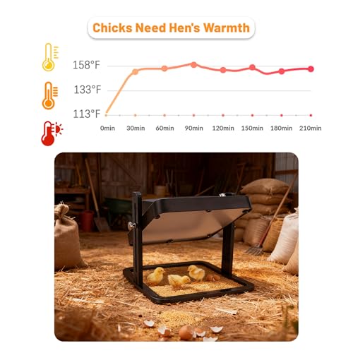 Brooder Heater for Chicks – 10.8" Radiant Heat Plate with Adjustable Height & Angle, Thermostat Control (113–158 ℉), Safe & Even Warmth for up to 15 Baby Chicks