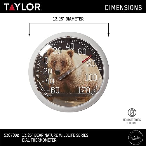 Taylor Nature Series Bear Indoor Outdoor Dial Thermometer, Easy to Read Wall Decor for Patio, Pool, Yard, Garden or Garage, 13.25 Inch, Tan Bezel - style: Bear