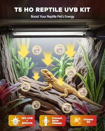 UVB Light for Reptile 8W, T5 UVB Reptile Light Fixture HO Combo Kit with Test Sensor Cards, 12" High Output Reptiles Light Bar UVA UVB Desert Lamp for Turtle Lizard Bearded Dragon Tank - color: 8w-12.2in Black