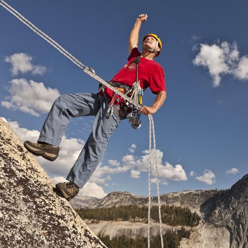 Arborist Rope Climbing Rope 1/2 Inch Tree Rope 48 Strands Bull Rope for Construction Climbing Swing Sailing - size: 1/2 x 100ft, style: White