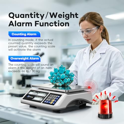 Counting Scale (66lb/30kg, 0.1g), lb/oz/g/kg Industrial Parts Scale with Dual LCD Display, Digital Inventory Scale for Small Parts Coins Pieces Tickets, Precision Gram Scale with Alarm Mode - style: 30kg x 0.1g with 3 Displays