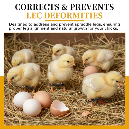 50 Pieces Chick Leg Bands Baby Chicken Splay Hobble Brace Adjustable Poultry Leg Bands for Newborn Chicken Birds Quails Ducks of 1 to 3 Days Newly Hatched