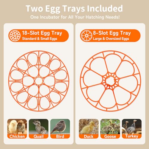 APDOE Egg Incubators for Hatching Eggs, Temperature and Humidity Control, Automatic Egg Turning, Egg Candler, External Water Bottle, Air Vent, for Chicken, Duck & Quail Eggs, 18 Eggs - color: White + Orange, size: 18 Eggs + 8 Large Eggs