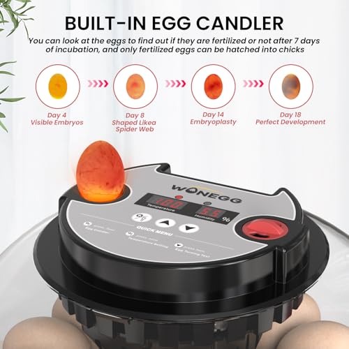 12 Egg Incubator for Hatching Chicken/Quail/Duck Eggs, Auto Turning, Digital Humidity/Temp Control, LED Candler, Auto Water Refill, 360° View (Smart Sensor) - color: Onyx Crimson
