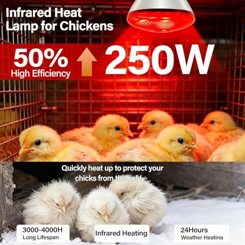 4 Pack 250W Chicken Heat Lamp Bulbs, Infrared Heat Lamp for Chickens, Heat Light Bulb for Brooder Coop, Food Service, Chicks, Pet, Reptile