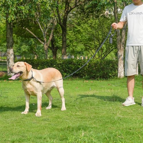 Waterproof Dog Leash with Poop Bag Holder, 5FT/6FT Adjustable Length with 2 Swivel Hooks, Odor-Free & Easy-Clean Dog Lead for Large Medium Small Dogs - color: Black, size: 6FT - 3/4inch Width